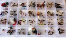Tackle Fly Box + Assorted