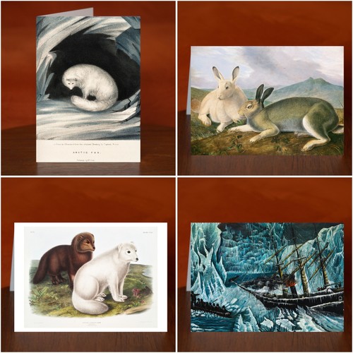 Arctic themed greeting cards - arctic,