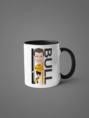 Steve bull wolverhampton - bull,