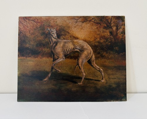 Naïve greyhound whippet - naïve,