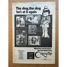 CARAVAN BLIND DOG AT ST