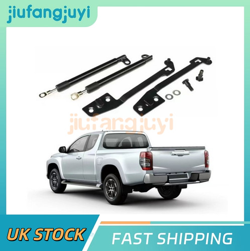 Tailgate gas struts - tailgate,