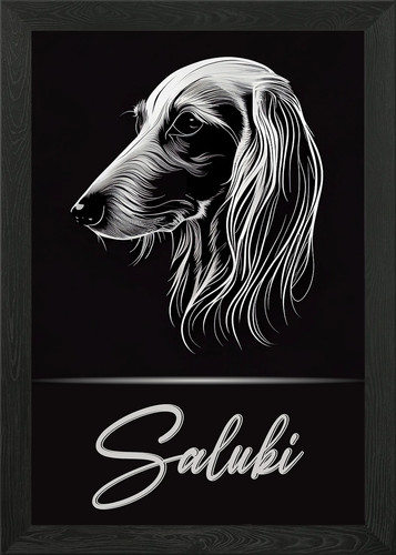 Elegant saluki framed - saluki,