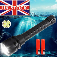 290000lm 5* LED Diving