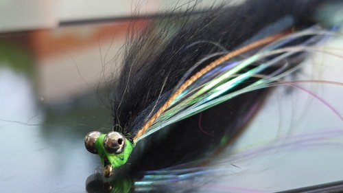 Black snake flies - flies, barbed
