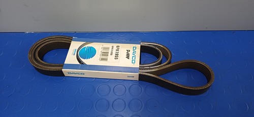 Dayco 6pk1955 poly belt for - belt,