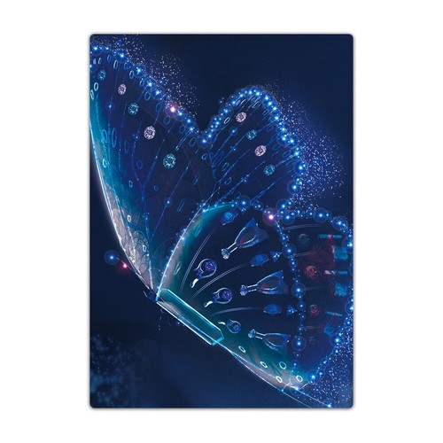 Passport holder protector - passport,