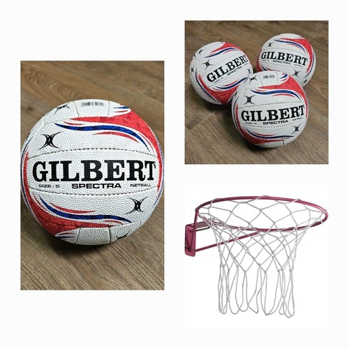 Wall mounted netball ring - mounted,
