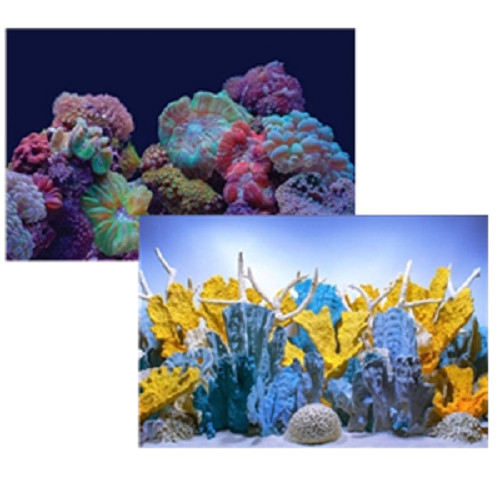 Seaview coral bliss luscia - seaview,