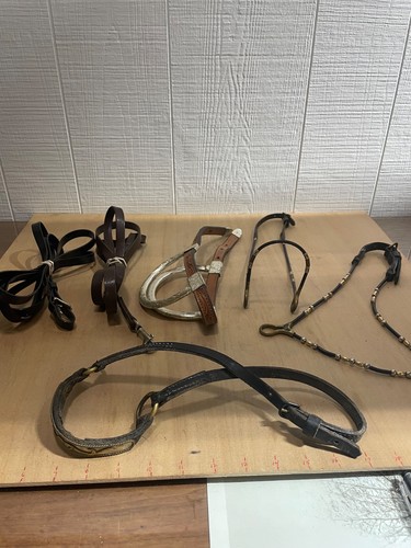 Miniature horse show halters - miniature,