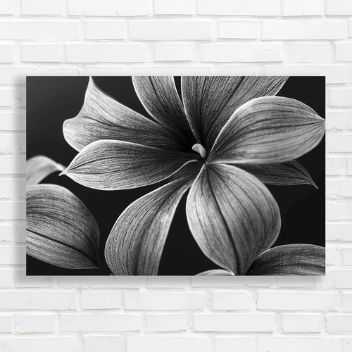 Vibrant floral home naturework - vibrant,