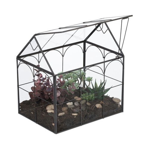 Plant terrarium house - plant,