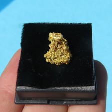 Rare Natural Crystallized Gold
