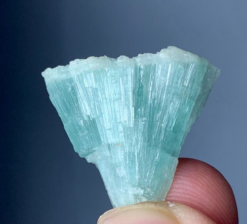 Carat natural bicolor - carat,