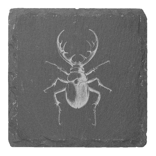 Stag beetle slate - 'stag, beetle'