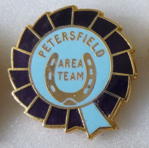 Petersfield area team enamel - petersfield,