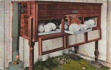 Postcard CA San Diego