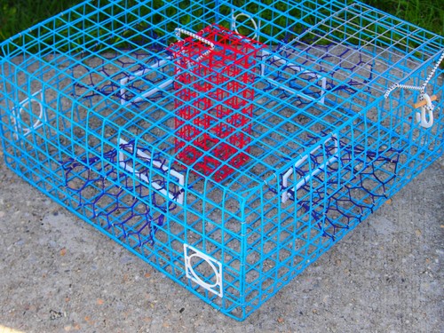 Oceanbuilt maryland blue crab - maryland,