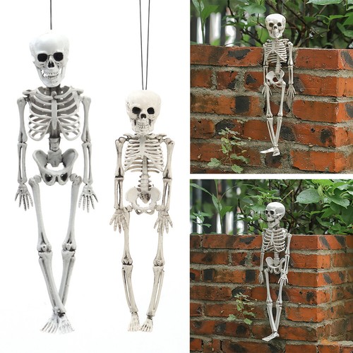 Halloween hanging skeleton - halloween,