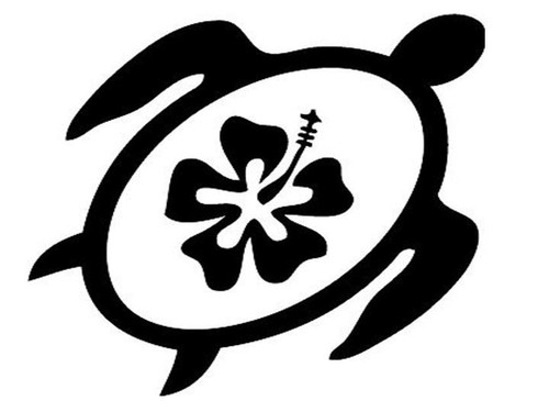 Hibiscus turtle beach - beach, ocean