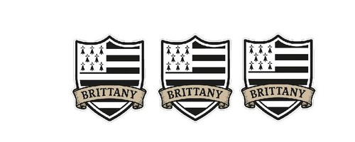 Brittany shield flag - brittany,