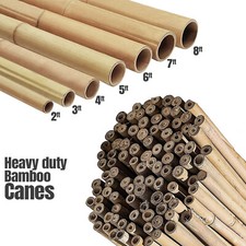 2FT 3FT 4FT 5FT 6FT Bamboo