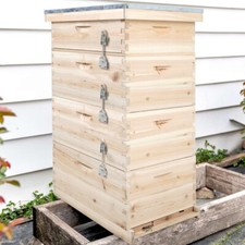 2/3/4 Tiers Langstroth Beehive Box Wooden Brood Box Hive Frames Beekeeping Honey