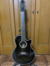 Takamine NPT110-12 12 String