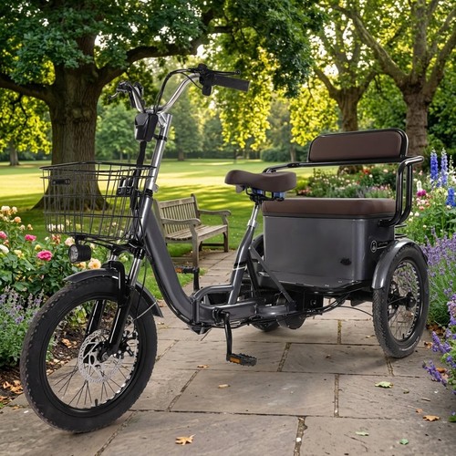 Electric trike for adults - electric,