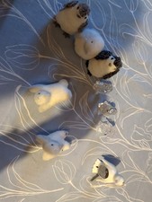 Penguins - Selection Of