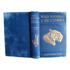 Wild Animals & The Camera by
