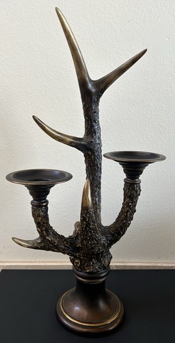 Rare uttermost stag horn - rare,