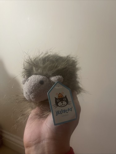 Guinea pig jelly cat retired - pig,