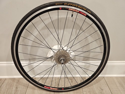 Swiss r450 spoke black - dt,