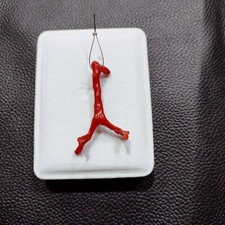 100%Natural Italy Red Coral