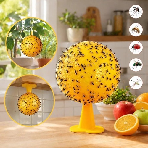 Fruit fly balls - balls, trap