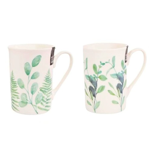 Mug set eucalyptus fern - eucalyptus,