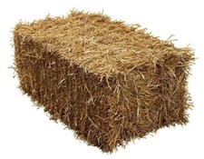 Barley Straw BALE IN A BOX - Feed Quality - Ideal for Horses Ponds Algae