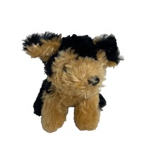 Small Black & Brown Dog Puppy