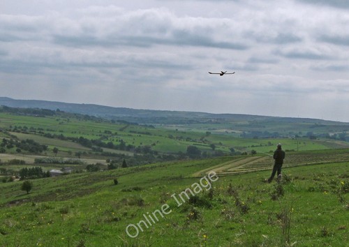 Photo 6x4 glider flying - photo,