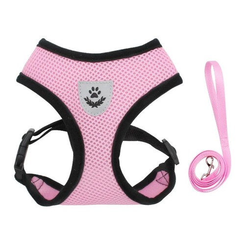 Dog harness puppy - dog,