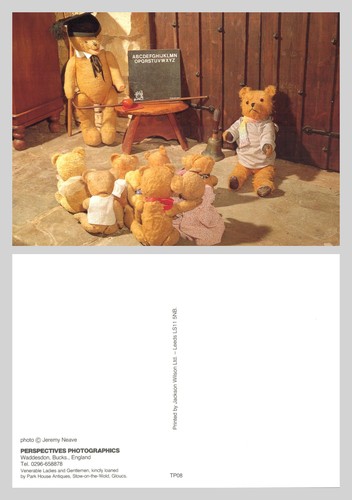 Postcard teddy bear - teddy,