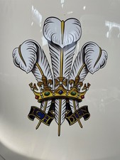 2 x Prince Of Wales Feathers