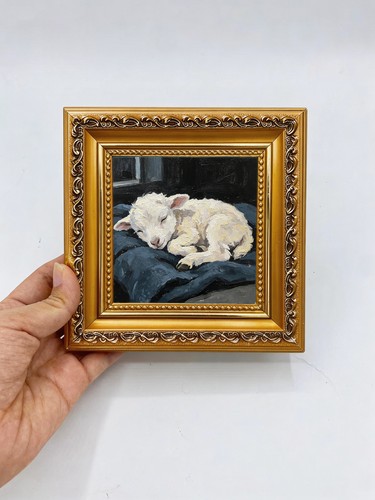 Sleeping white lamb - sleeping,
