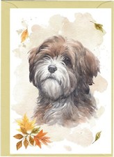 Tibetan Terrier Dog (4"x 6") Blank Card ideal for any occasion - by Starprint