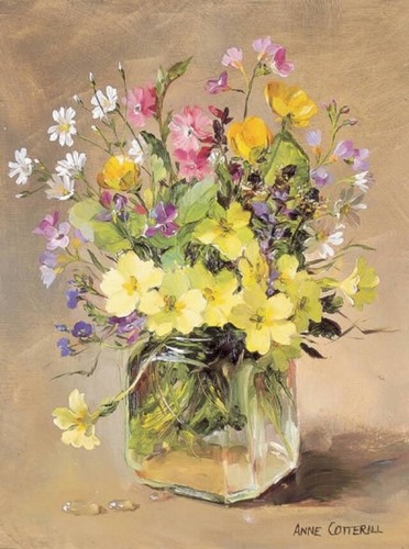 Anne cotterill fine art - cotterill,