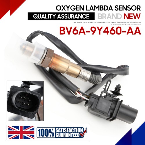 Lambda sensor pre cat fit - o2,
