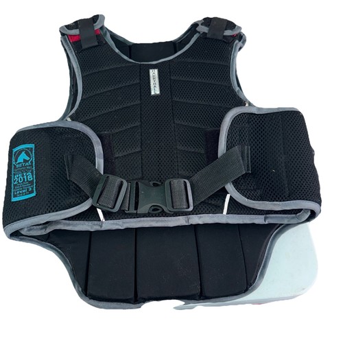 Body protector 2018 - body,