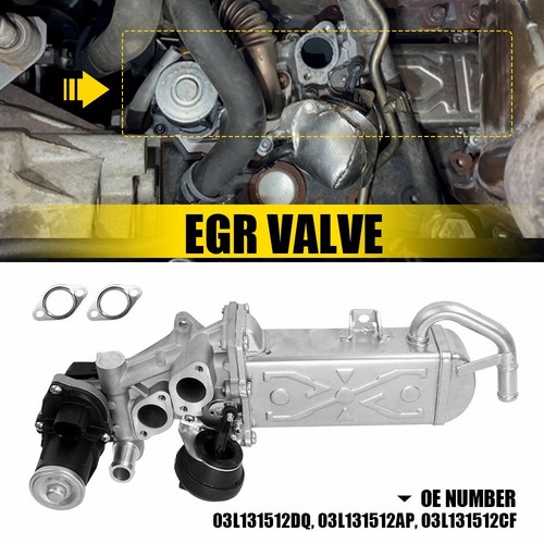 Egr valve cooler fits vw - cooler, eos