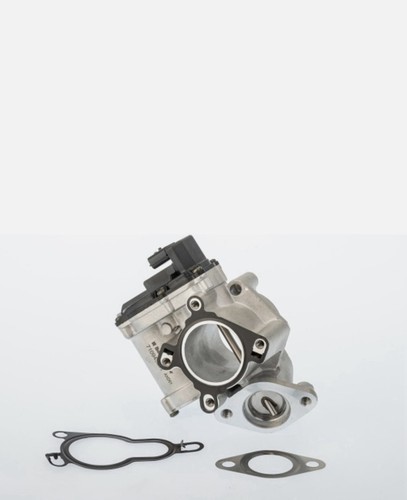 Egr valve borgwarner - ,